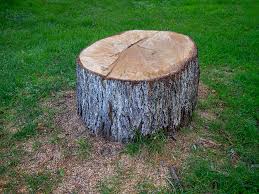 Best Tree Mulching  in Arthur, IL