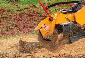 Best Tree Preservation Services  in Arthur, IL