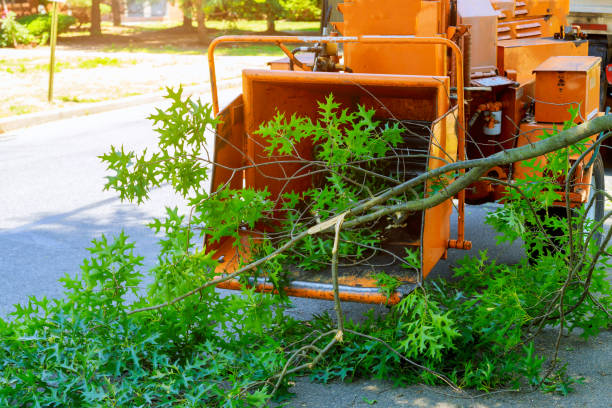 Best Weed Control  in Arthur, IL
