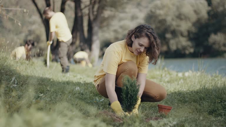 Best Lawn Mowing  in Arthur, IL
