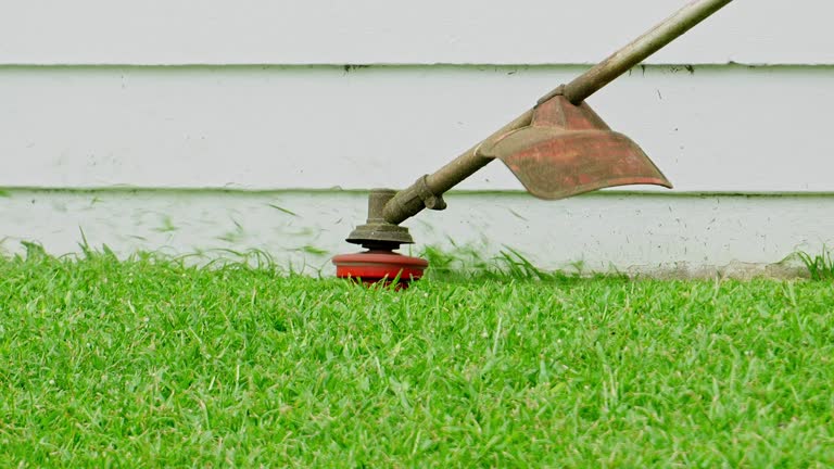 Lawn Pest Prevention in Arthur, IL