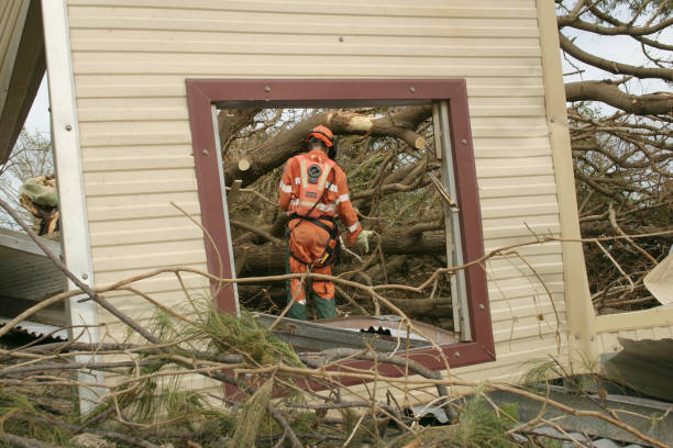 Best Tree Risk Assessment  in Arthur, IL