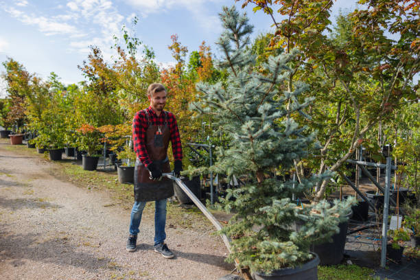  Arthur, IL Tree Services Pros