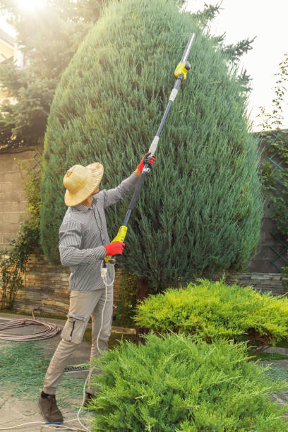 Best Landscape Design and Installation  in Arthur, IL